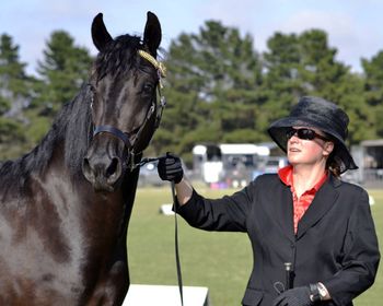 2012 Royal Melbourne Show. Michelle Duggan and MCM Ramke as a 2 yo. So proud of you two. xx
