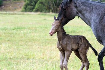 3 hours old
