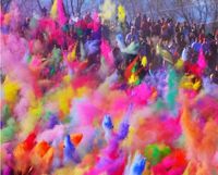 Holistic Festival of Life