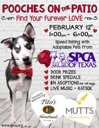 Benefit Concert for the SPCA 