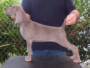 Ten weeks old

