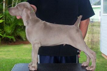 10 weeks old
