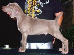 8 weeks old
