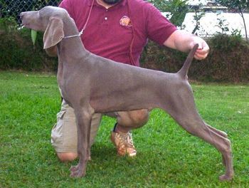 6 months old

