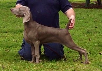Four months old
