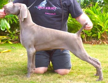 4 months old
