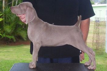 10 weeks old
