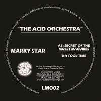 the acid orchestra e.p.