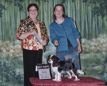 Best Puppy (AKC) under Pam Peat!
