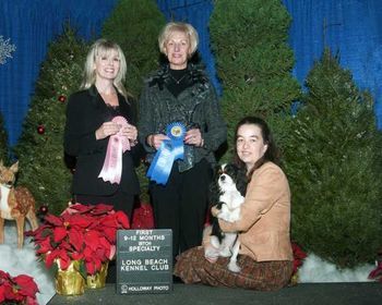 Southern CA Cavalier Specialty 1st place in 9-12 Puppy class Sweeps- Sue Miller (Cottfordcourt) Reg Class- Katie Sloan (Turretbank)
