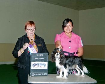 1st Point. Wine Country Kennel Club , Judge Betsy Dale. " See being naughty works" -Keira
