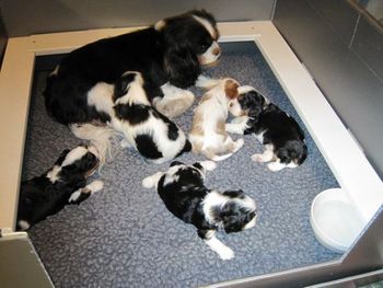 Keira is on the left
