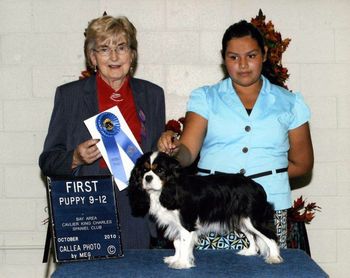 Bay Area Specialty 2010, 1st Place in 9-12 Puppy Bitch under Molly Coaker (Homerbrent)
