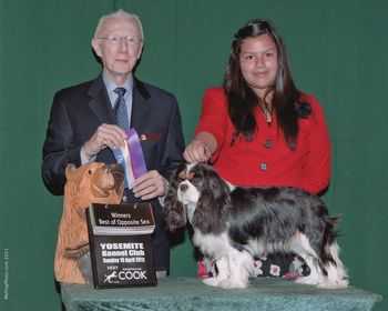 Winners Bitch and Best Opposite. Yosemite Kennel Club Judge Anthony DiNardo
