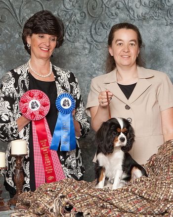 COTW Burlingame CA July 2010 Best Puppy Bitch in Show under Anne Eckersley (Chadwick)
