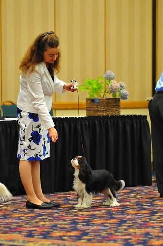 Keira showing her little heart out in Danbury, CT June 2011
