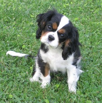 Baby Keira before she came to Del Sol
