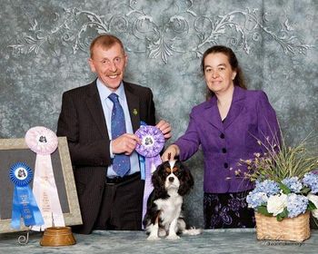 COTW Burlingame CA July 2010 Best Puppy In Show under Stephen Goodwin (Lanola)
