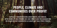 Shireen Amini LIVE at Protest of "Who Will Own the Forest?" Conference