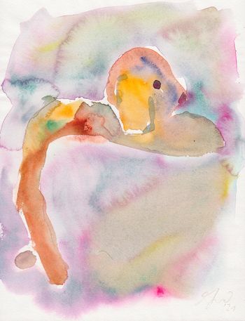 Fragment no. 5
