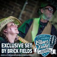 Eureka Springs Blues Party Weekend