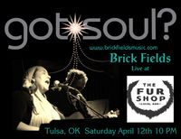 Brick Fields at The Fur Shop