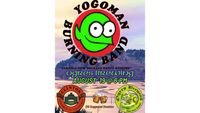 YOGOMAN BURNING BAND on S. Whidbey Island, WA