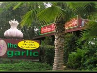 The Garlic