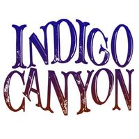 Songwriter’s Night At Spanky’s 03-09-26 by Indigo Canyon