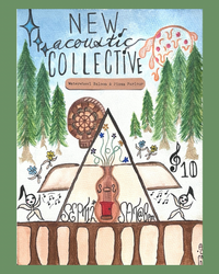The New Acoustic Collective Quintet Live at The Waterwheel Saloon & Pizza Parlour