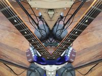 Stevie D & the Coalition (Trio)
