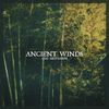 Ancient Winds 