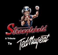 Stranglehold a Tribute to Ted Nugent 