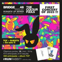 The Colour Foolstival