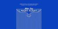 Blue Jay Night Flight 🛫