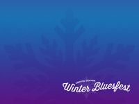 MonkeyJunk at Winter Bluesfest