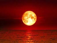 Moon Tunes w/ Robin Bienemann + many others!