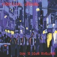 Dusk to Dawn Revolution - CD