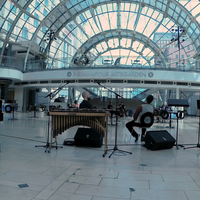 The Garden Sessions by Danny Marquis