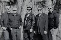 Audio Illusion Invades Sunol!