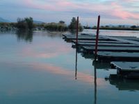 Timp Marina Boat Club