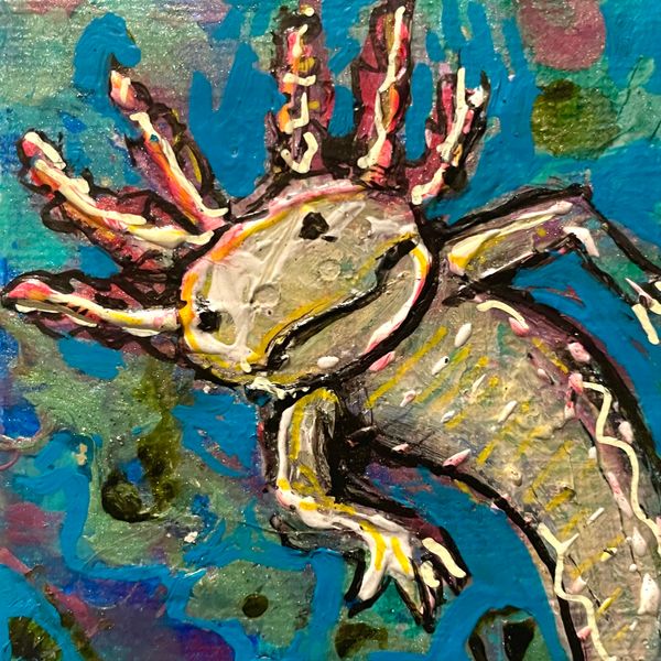 Magnolotl #7 "OBERON"