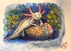 Study of the Axolotl #1