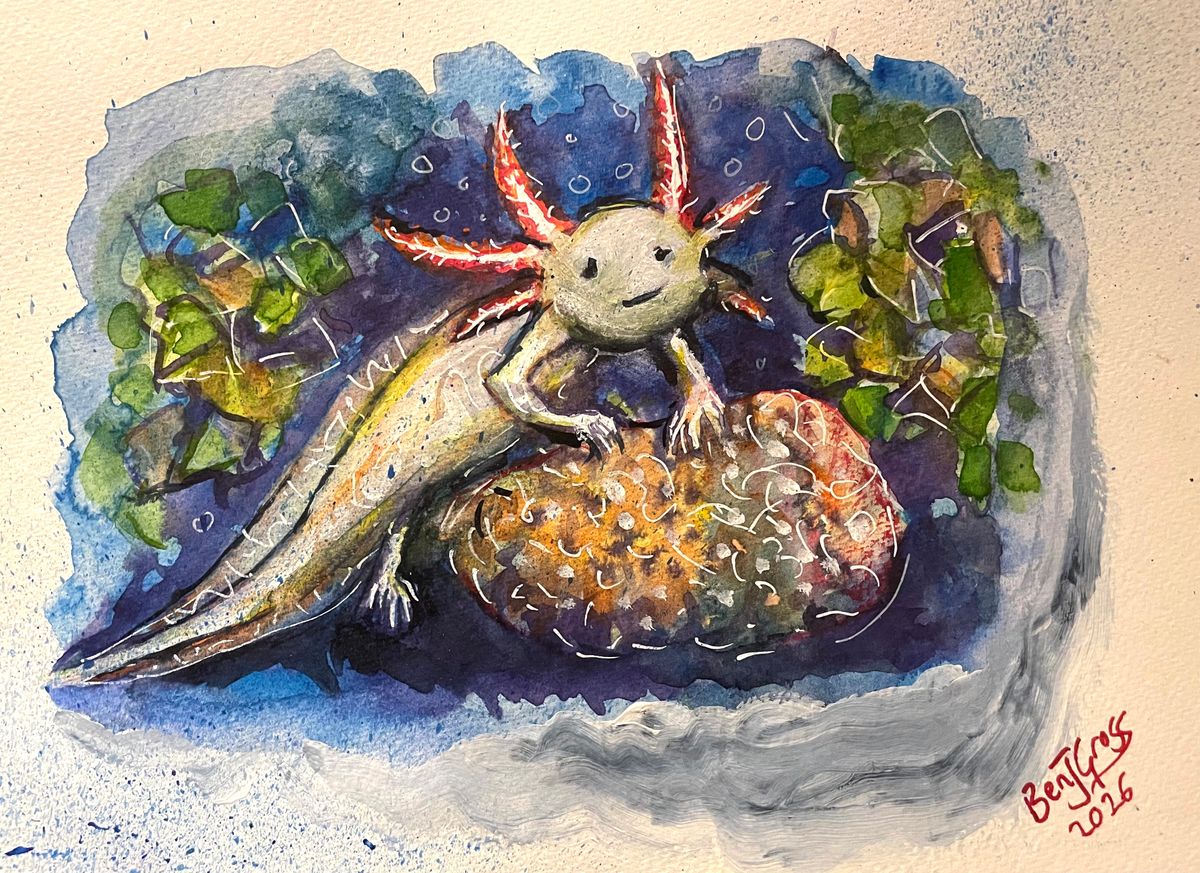 Study of the Axolotl #1