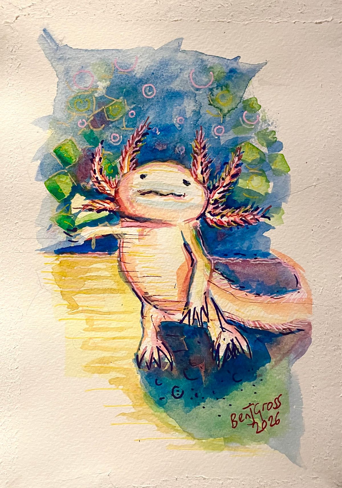 Study of the Axolotl #2