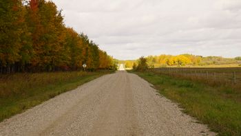 And the road goes on!

