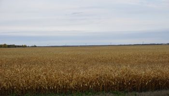 The Plains!

