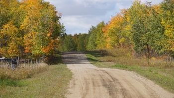 Fall in early September!
