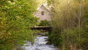 Roaring Creek, NC!
