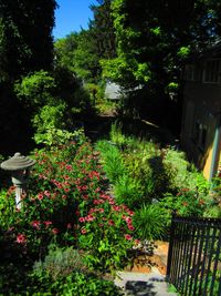 Garden Tour